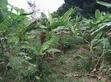 2 Plots of Land for Sale at Santasi Apire Darko - 3