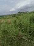 Ashalaja Hobor Estate Plot of Land for Sale - 4