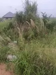 Ashalaja Hobor Estate Plot of Land for Sale - 5