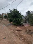 Half Plot of Land for Sale in Ayawaso - 1