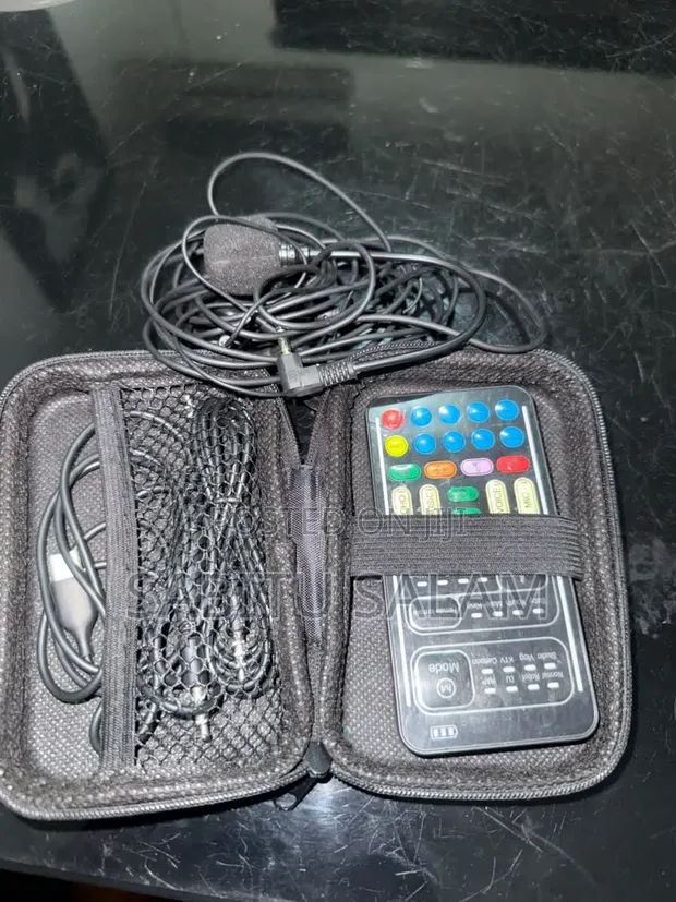 Voice Changer Device - 1