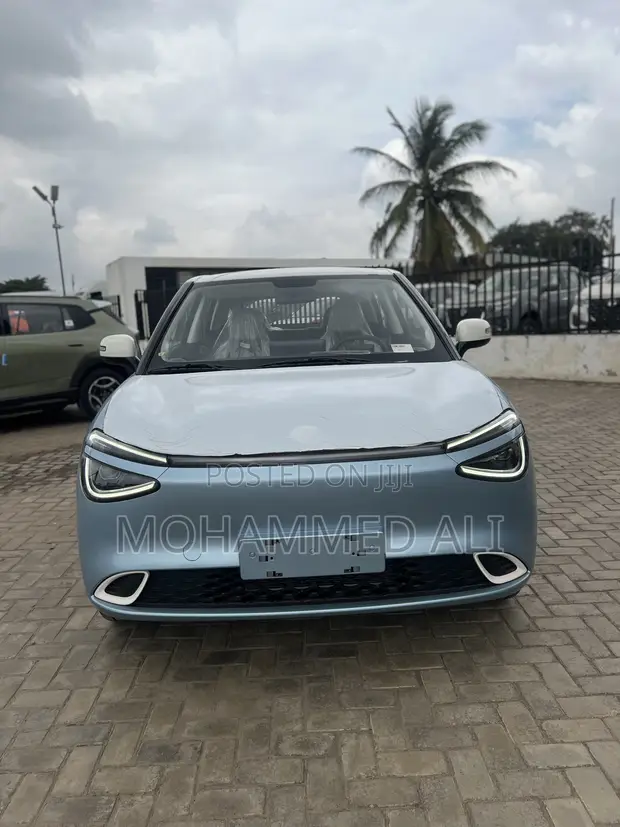 New Dongfeng Nammi Box 2025 Blue - 1