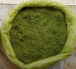 Moringa Chaff - Animal Feed Ingredient - 2