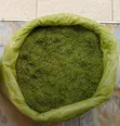 Moringa Chaff - Animal Feed Ingredient - 4