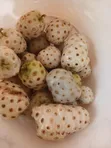 Organic Noni Extract for Health Benefits - 4