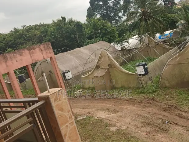 Used Greenhouse for Sale (15x7.5m) - 1