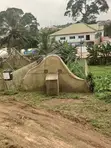 Used Greenhouse for Sale (15x7.5m) - 4
