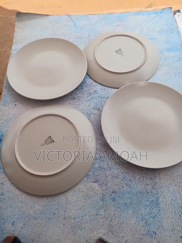 Ikea Ceramic Dinner Plate - 1