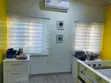 Premium Blinds for Light and Privacy Control - 1