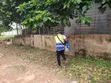 Cleantex Professional Fumigation Services - 3