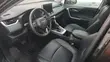 Toyota RAV4 XLE AWD 2024 Gray - 1