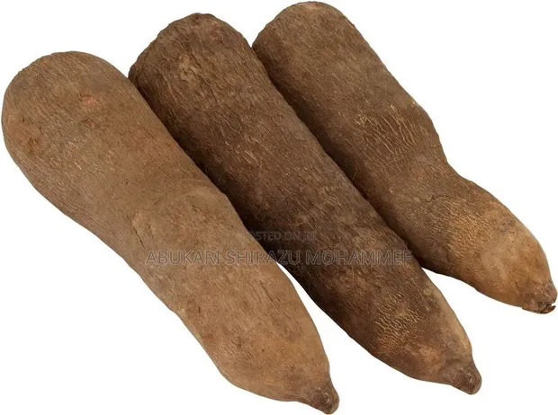 Fresh Yams for Sale - 1