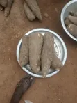 Fresh Yams for Sale - 2