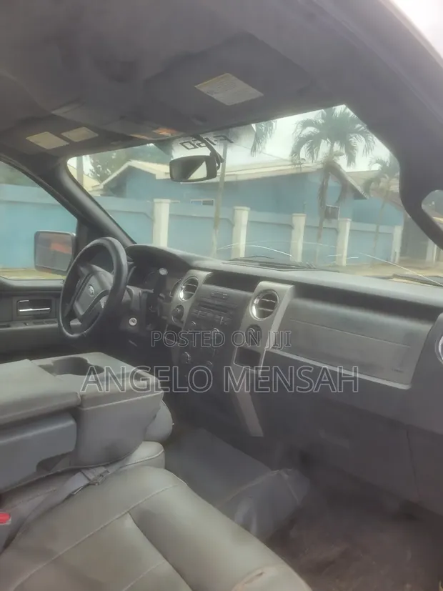 Ford F-150 XLT 2011 Gray - 1