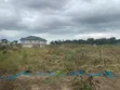 Land for Sale in Danchira, Amasaman - 4