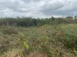 Land for Sale in Danchira, Amasaman - 5