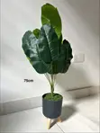 Artificial Banana Plant - 75cm Tall Decorative Flower Pot - 1