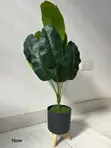 Artificial Banana Plant - 75cm Tall Decorative Flower Pot - 2