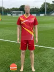 Team Jersey Sets - Brand New - 2
