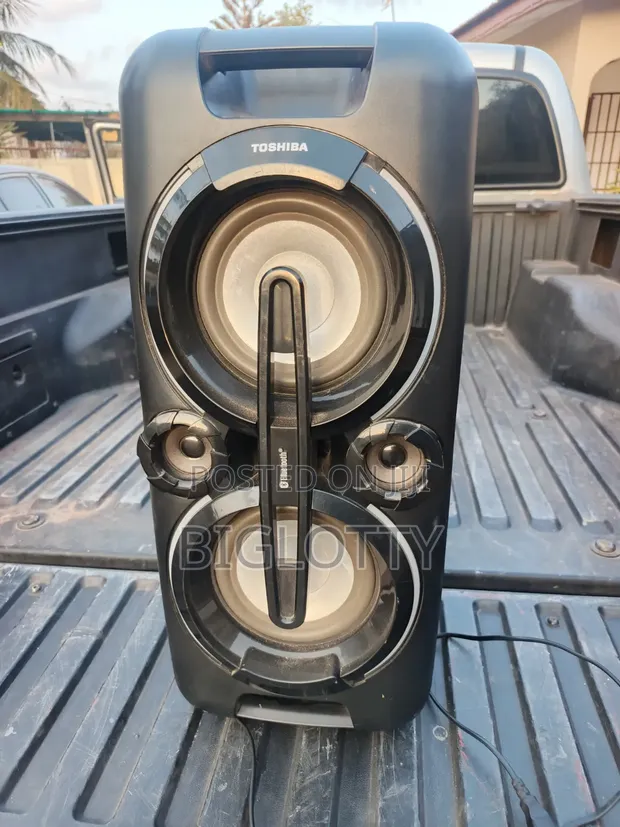 Toshiba All-in-One Bass Speaker with Step Down Transformer - 1
