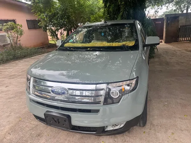 Ford Edge 2008 Gray - 1