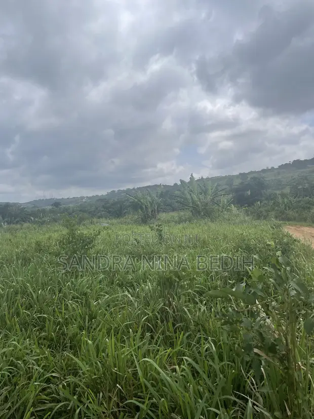 Land for Sale in Aburi Ayin - 1