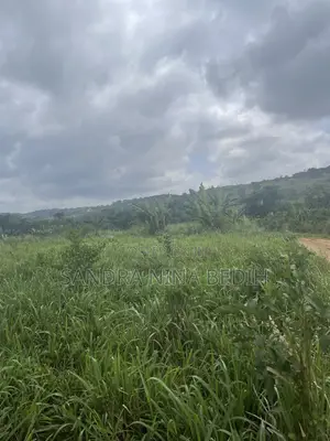 Land for Sale in Aburi Ayin