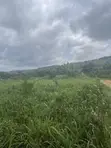 Land for Sale in Aburi Ayin - 1