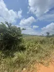 Land for Sale in Aburi Ayin - 3