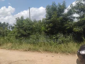 60-100 Acres Farmland at Obosono