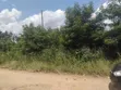 60-100 Acres Farmland at Obosono - 1