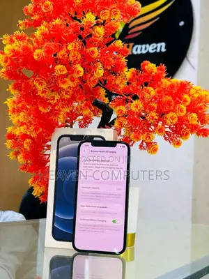 New Apple iPhone 12 256GB Black