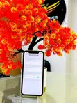 Apple iPhone 11 128GB Yellow - 1