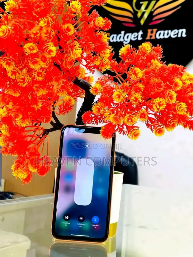 New Apple iPhone XR 256GB Pink - 1