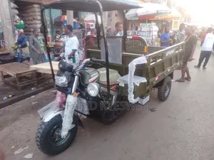 New Apsonic AP250 PRO Three-Wheeler (2026) - Green