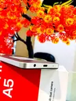 New Xiaomi Redmi A5 4G 64GB Gold - 2