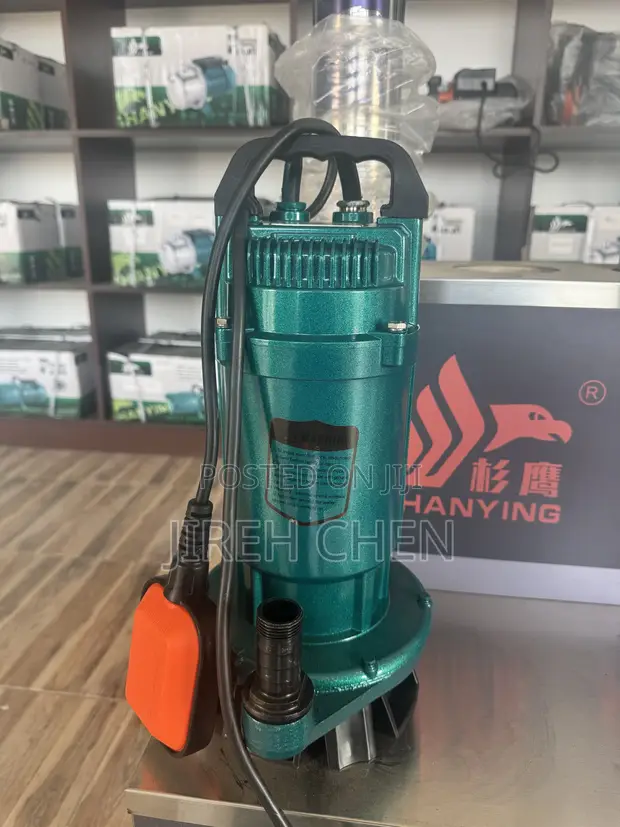 SHANYING 1HP Garden Submersible Pump - 1