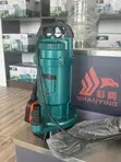 SHANYING 1HP Garden Submersible Pump - 3