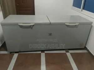 Hisense Double Door Deep Freezer
