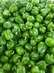 Sweet Green Pepper - 3