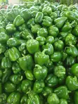 Sweet Green Pepper - 4
