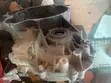 Daewoo Matiz Gearbox - Used - 2