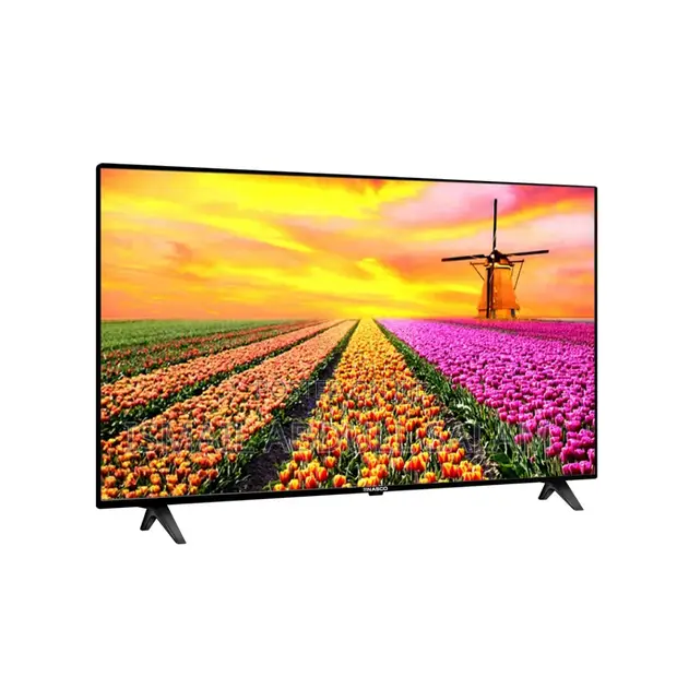 Nasco 24" HD LED TV - 1