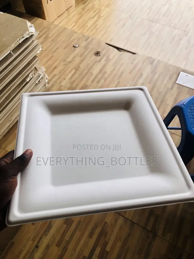 Biodegradable Disposable Paper Plates (Square) - 1