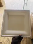 Biodegradable Disposable Paper Plates (Square) - 2