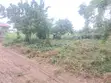 Prime Land for Sale in Ho - 5