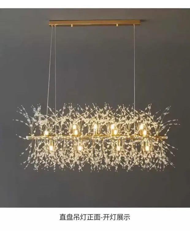 Special Crystal Oval and Round Chandelier Lights - 1