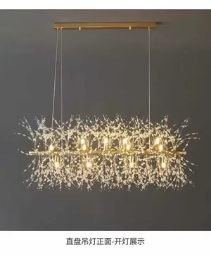Special Crystal Oval and Round Chandelier Lights