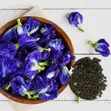 Blue Butterfly Pea Seeds - 2