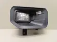Ford F-150 Fog Light and Cover (2015-2017) - 2